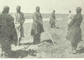 بررسی شیوه تولید درایران