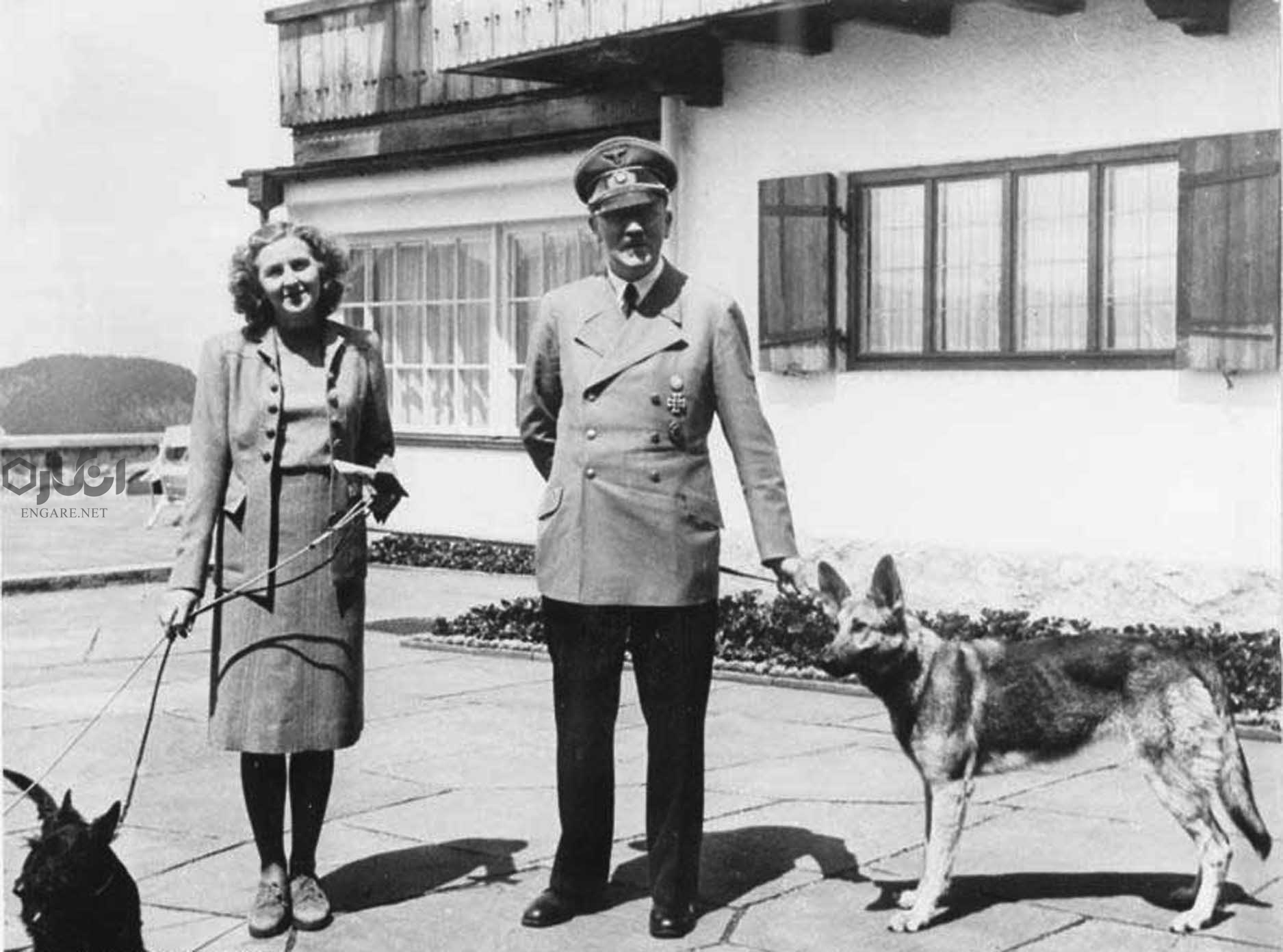 Hitler and Eva with their dogs - «حوّا، حالا وقت خودکشی‌ست!» - مهدی تدینی, معشوه هیتلر کیست, معشوقه هیتلر, زن هیتلر که بود, زن هیتلر, دوست دختر هیتلر, حوا براون, آدولف هیتلر, eva braun