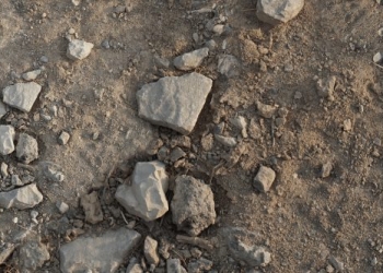 ۲۰ عامل عقب ماندگی ایرانیان