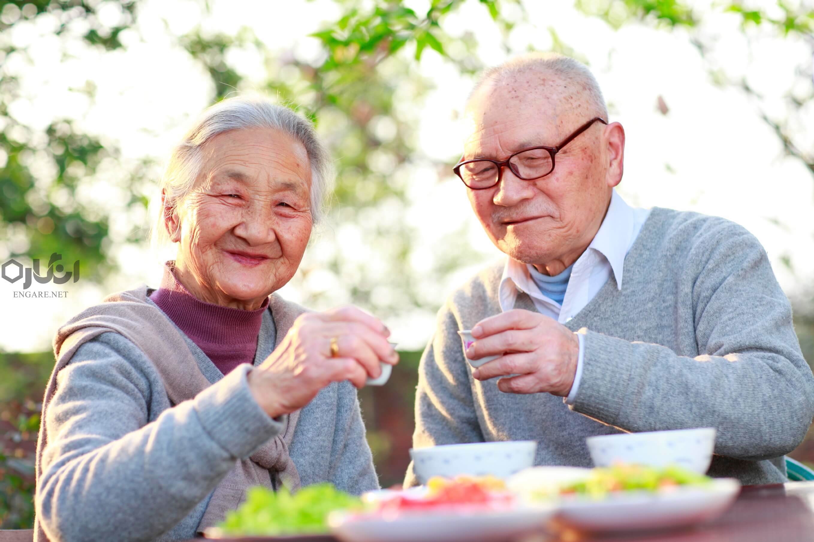 jappaness oldage - جامعه چطور باید از سالمندان مراقبت کند؟ - مراقبت از سالمندان, سالمندان, سالمند ژاپن, جامعه سالمند, جامعه ژاپن, جامعه انگلستان, تامین اجتماعی