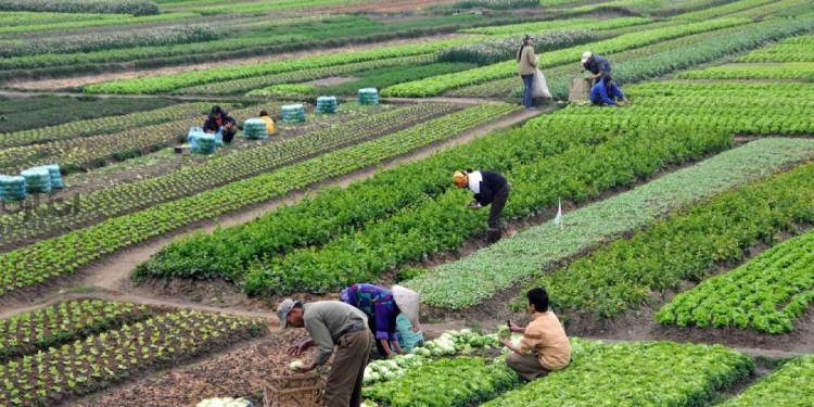 Decent Work ini1uv کار شایسته و کالایی‌زدایی از نیروی کار